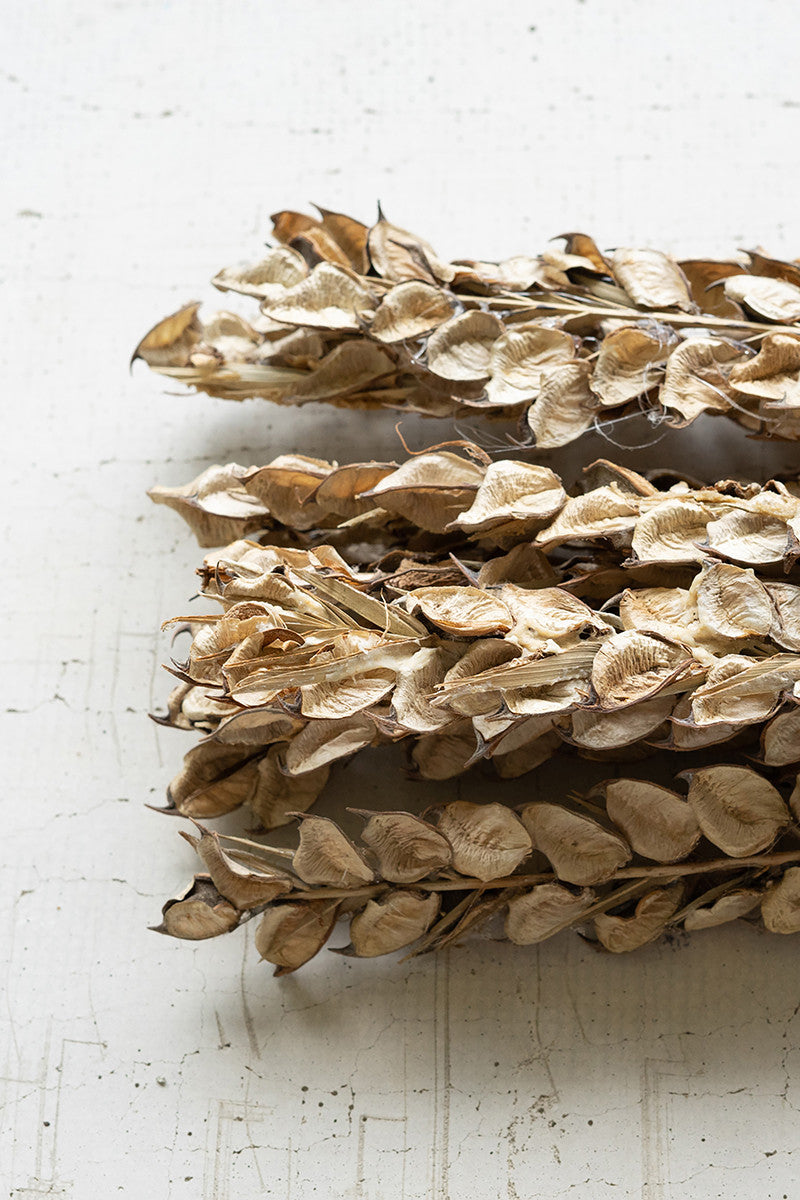 Bundle of Cotton Petal Stems