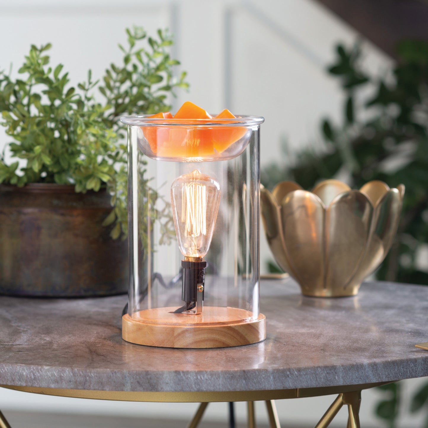 Wood & Glass Edison Bulb Warmer