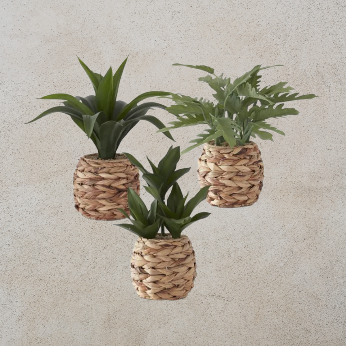 Round Woven Basket with Foliage
