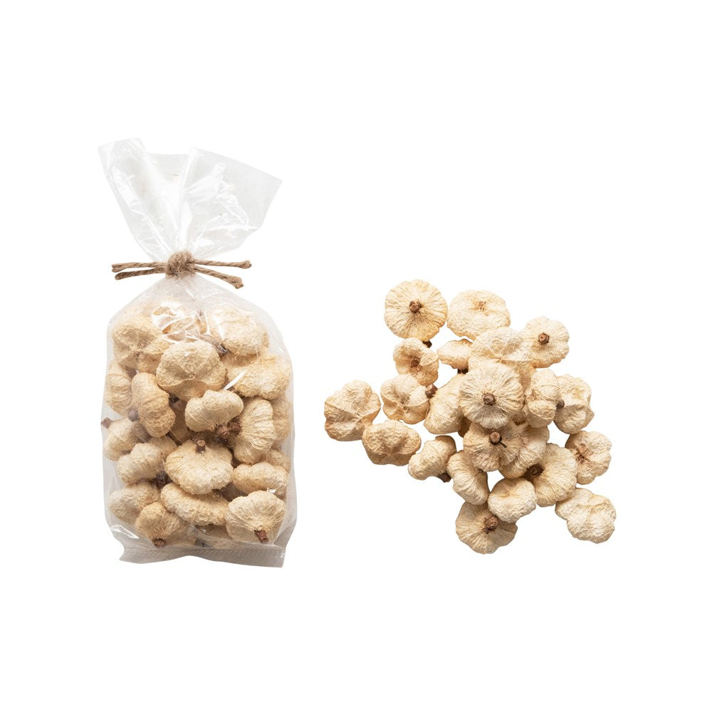 Dried Natural Cream Peepal Pods
