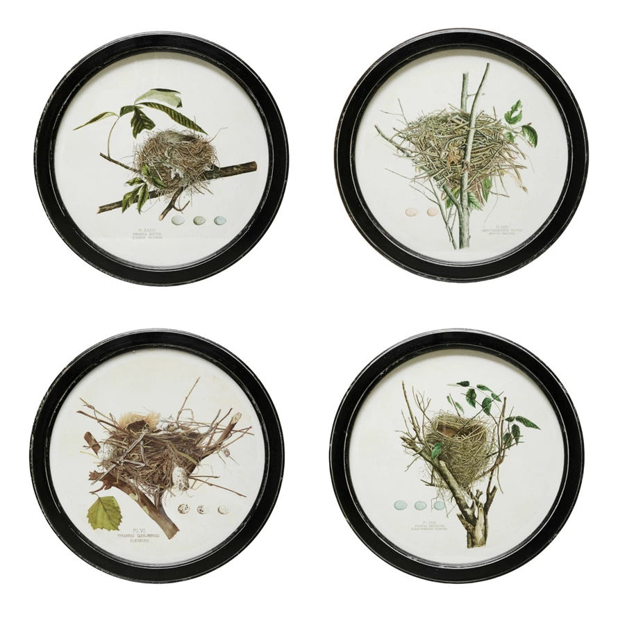 Framed Nest Prints