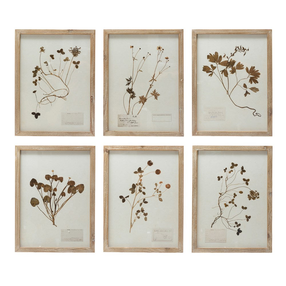 Wood Framed Botanicals