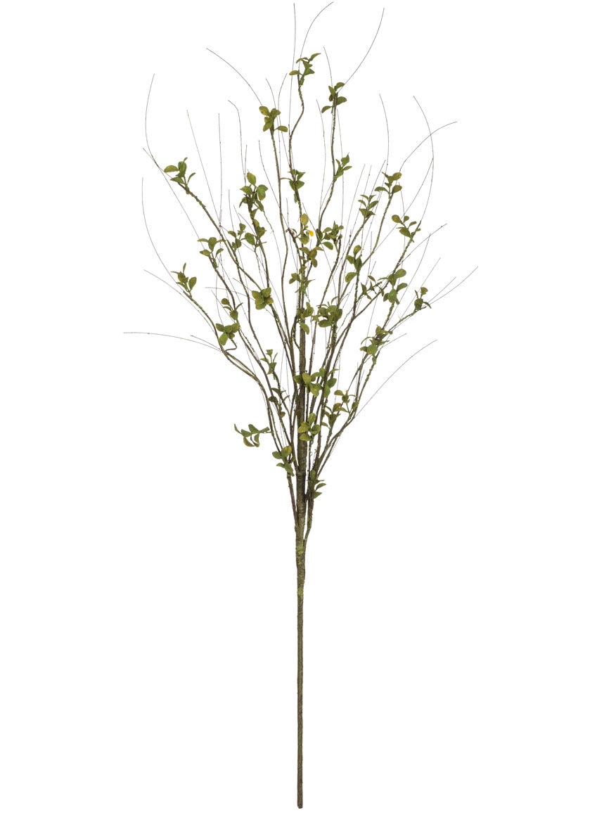Leaf Foliage Spray