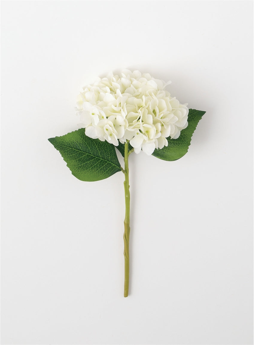 Short Hydrangea Stem
