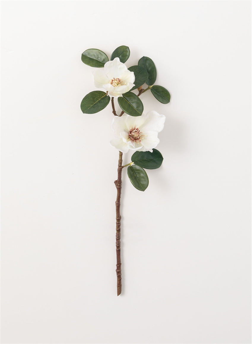 Magnolia Stem