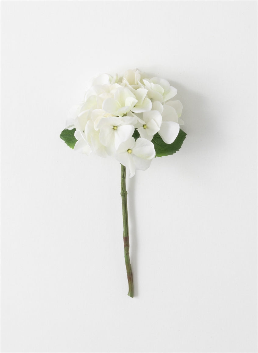 White Green Hydrangea Stem