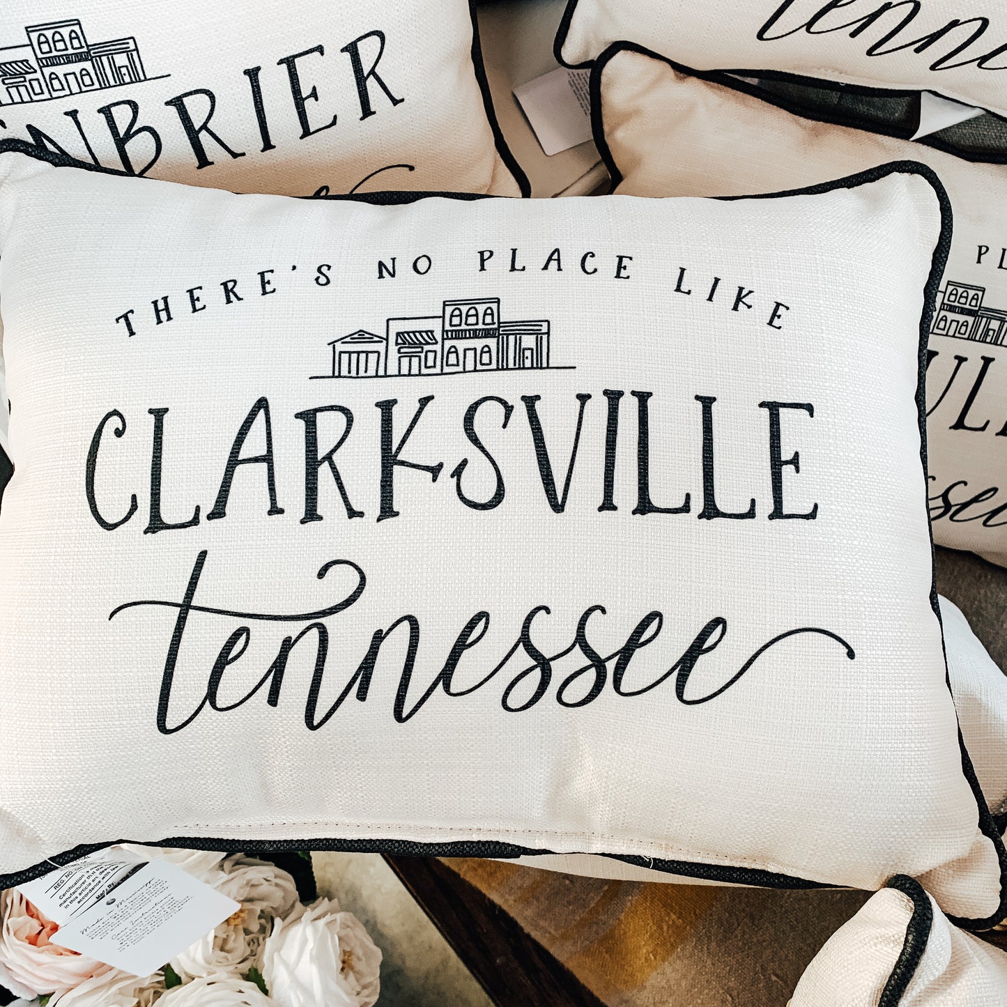 My Town Pillow