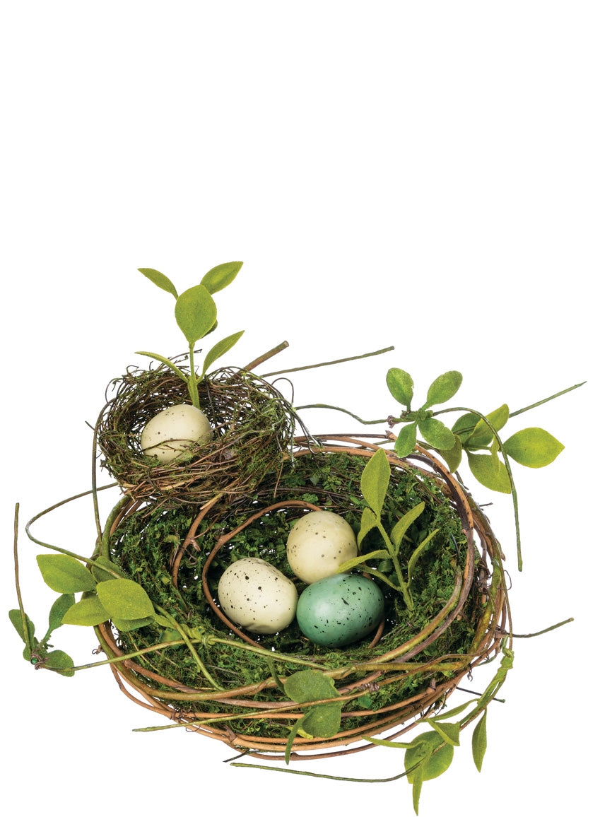 Double Nest with Eggs