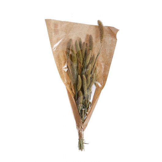 Dried Natural Setaria Bundle