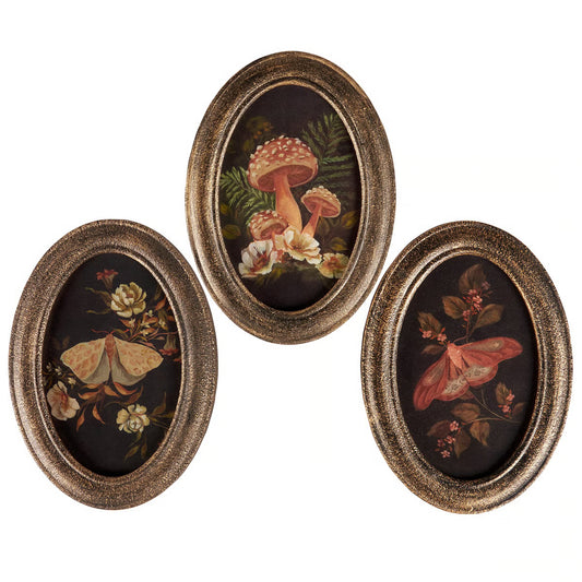 Hidden Garden Hanging Prints