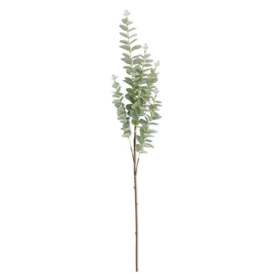 38 Inch Light Green Eucalyptus Stem