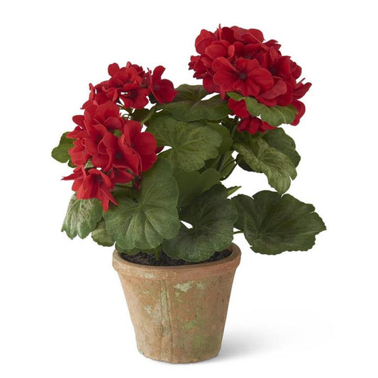 Red Potted Geranium