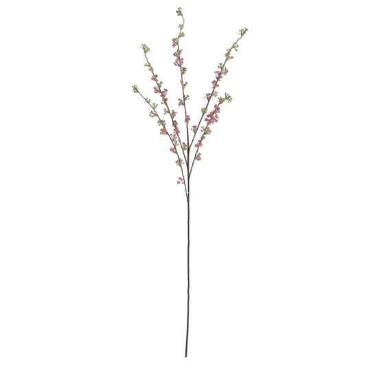 Pink Hoary Willow Spray
