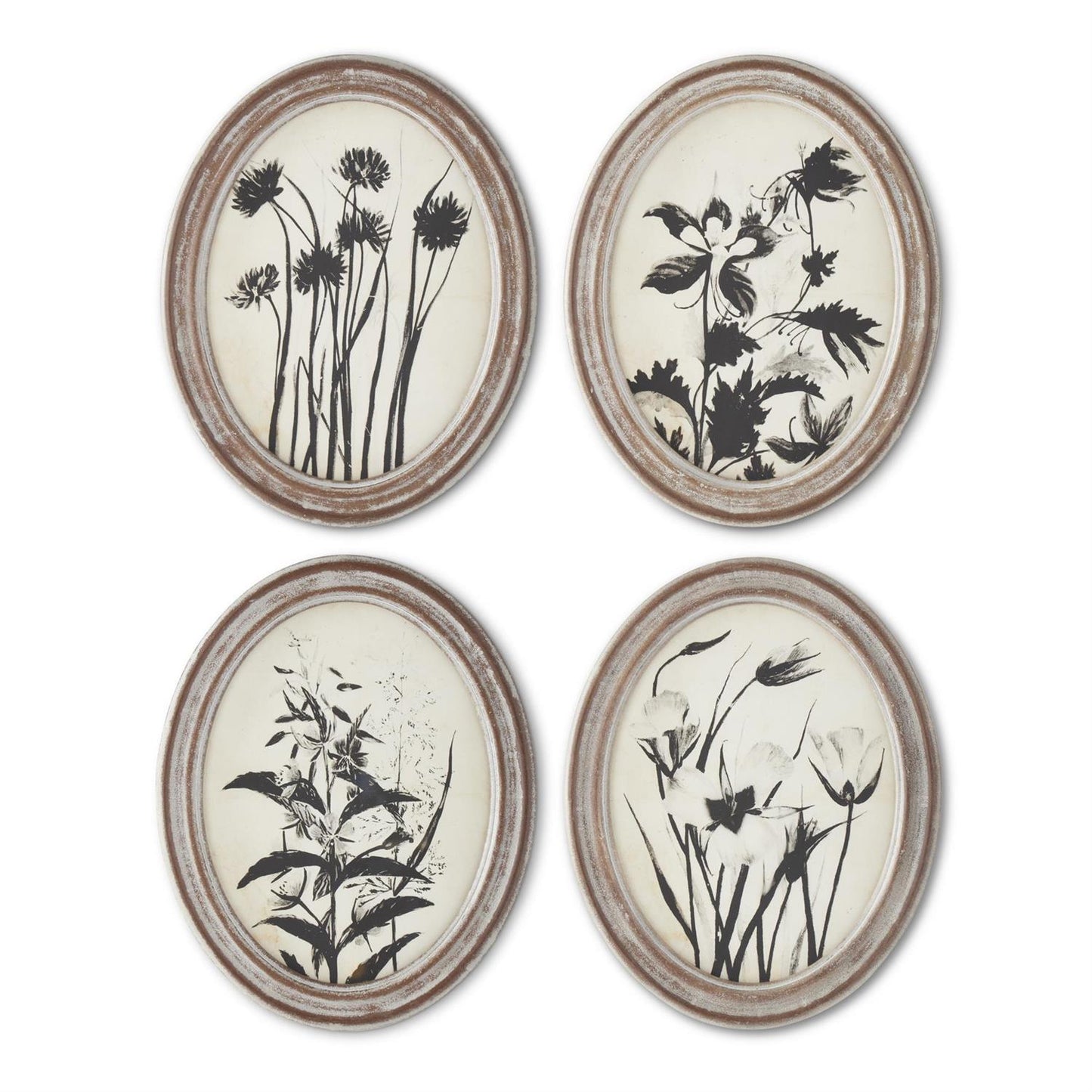 Wood Framed Oval Black & White Botanical Prints