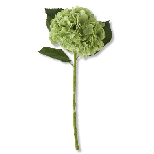 Green Real Touch Hydrangea Stem