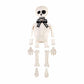 Skeleton Sitter