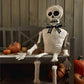 Skeleton Sitter