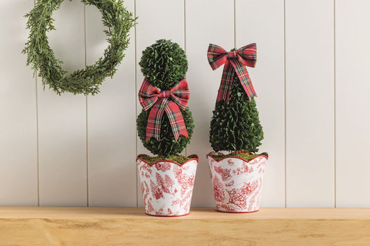 Toile Boxwood Topiaries