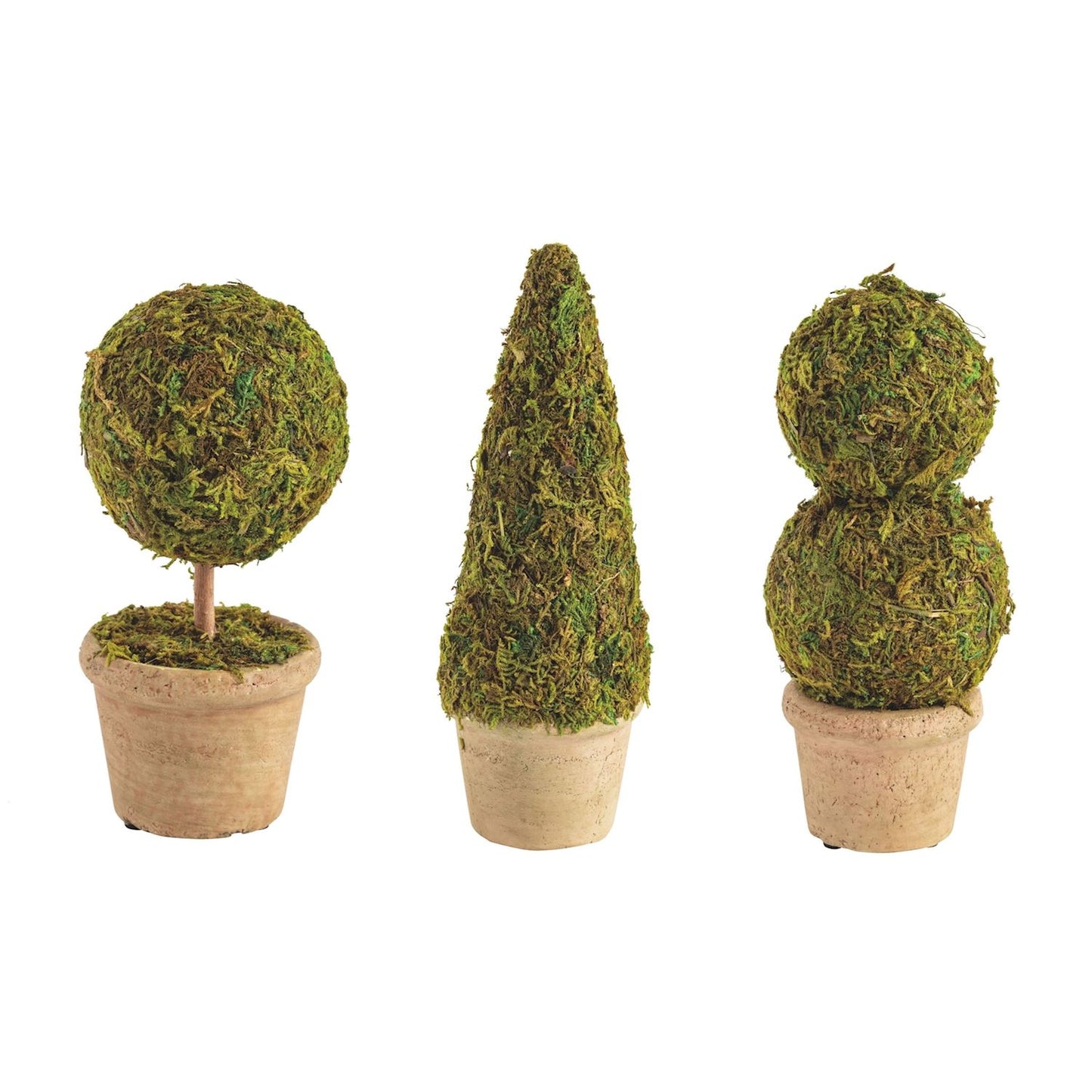 Mini Moss Covered Topiary