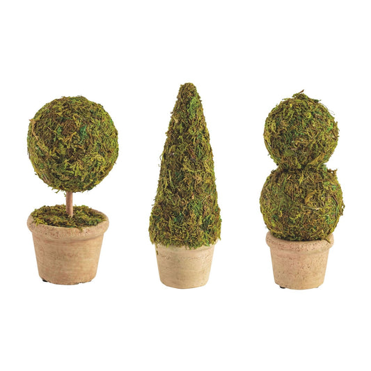 Mini Moss Covered Topiary