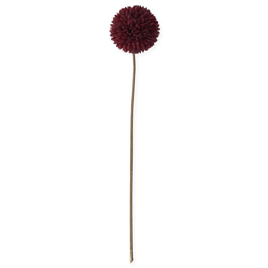 Burgundy Allium Stem