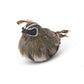 Feathered Quail