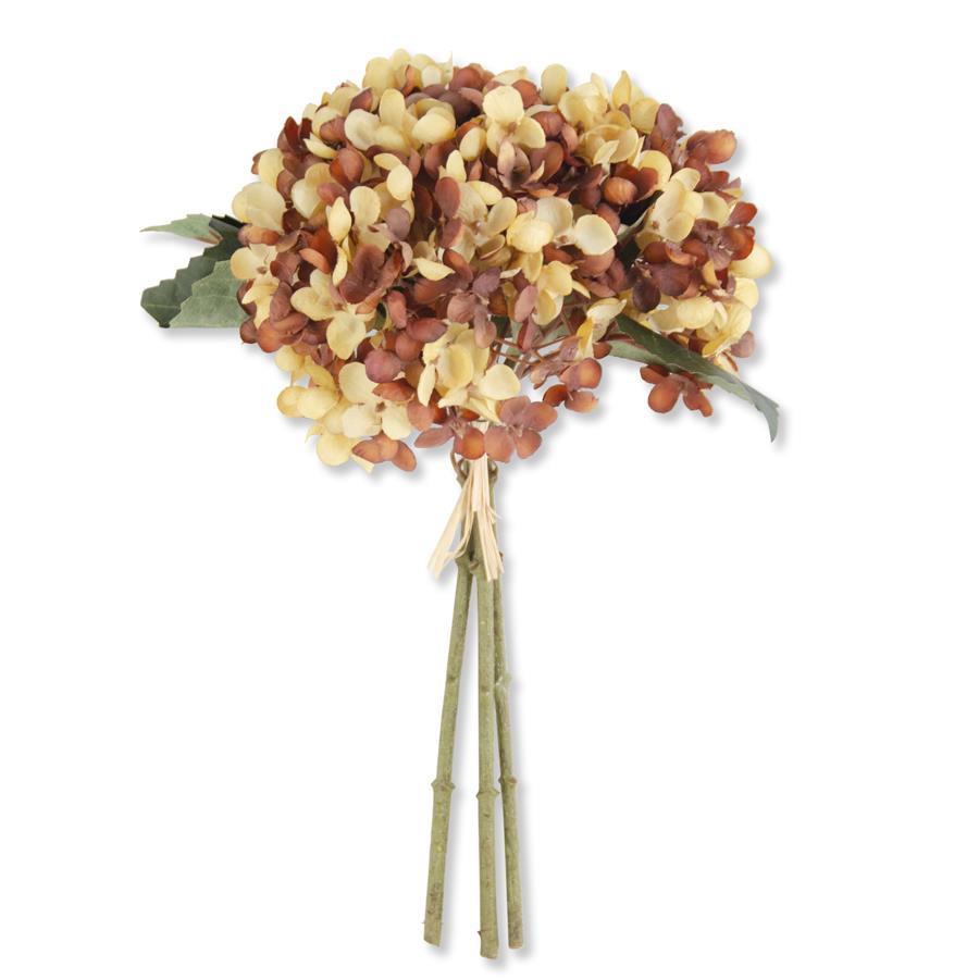 Yellow And Brown Hydrangea Bundle