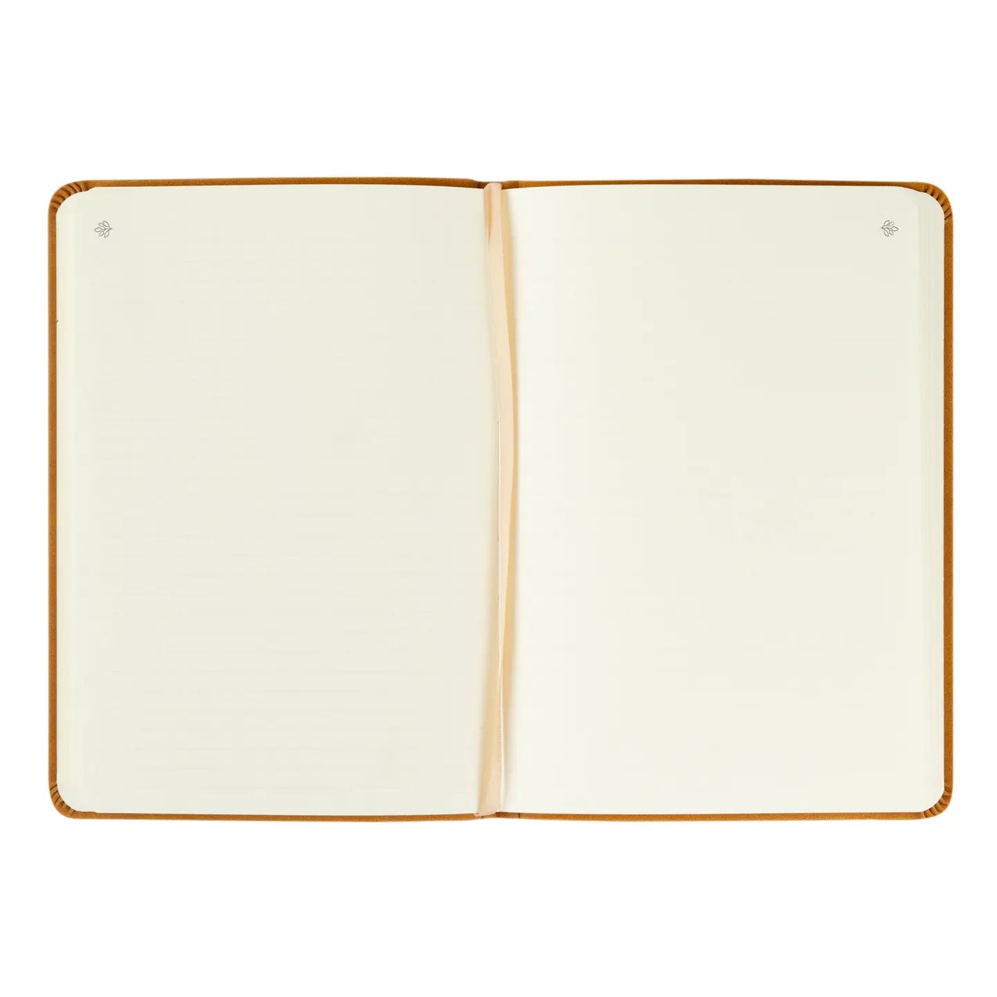 Amelia Notebook