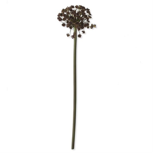 Queen Anne Lace Brown Stem