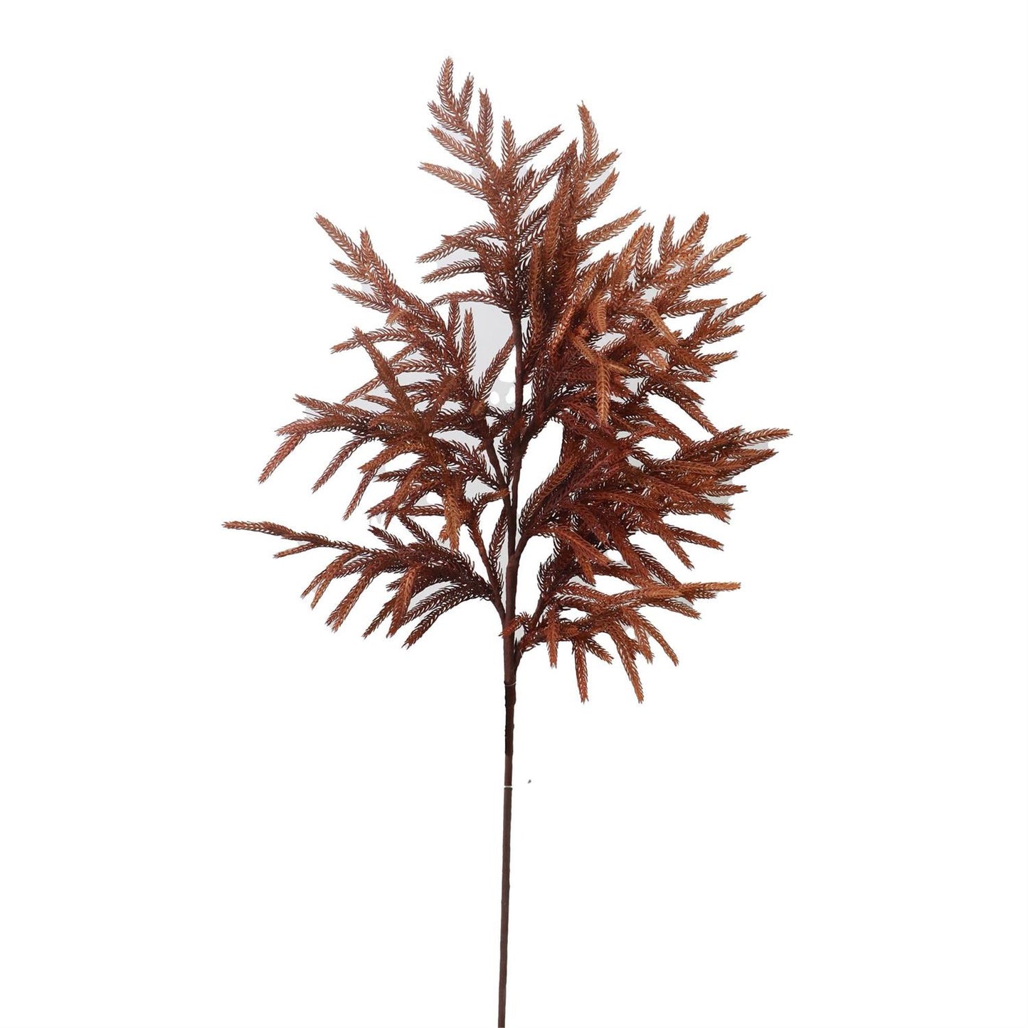 Real Touch Rust Norfolk Pine Stem