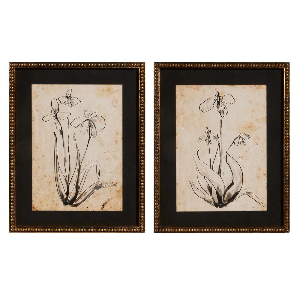 Floral Line Art Framed Print