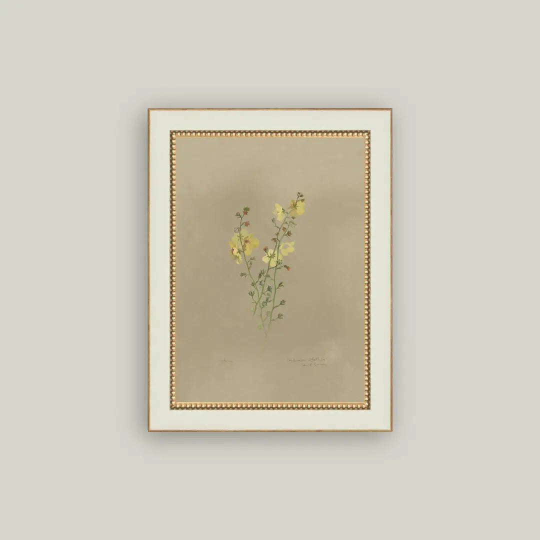 Flowering Yellow Plant Framed Antique Art