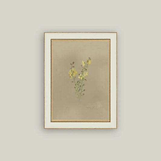Flowering Yellow Plant Framed Antique Art