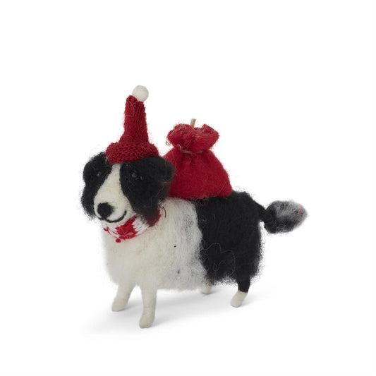 Black And White Dog With Hat And Knapsack