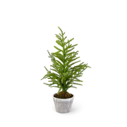 Pine Tree in Gray Pot