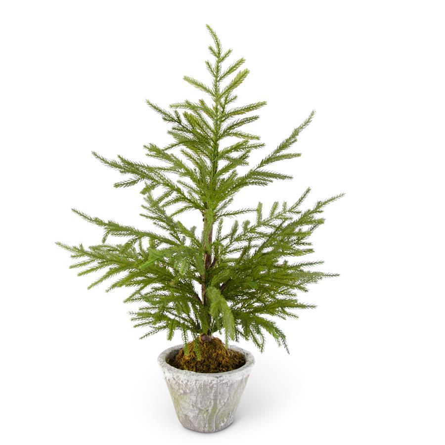 Pine Tree in Gray Pot