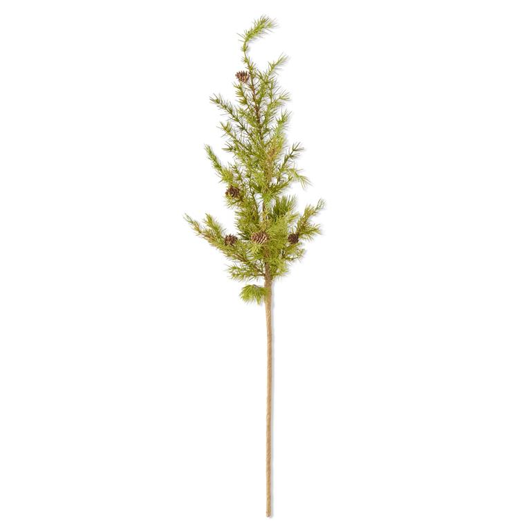 Pine Stem With Pinecones