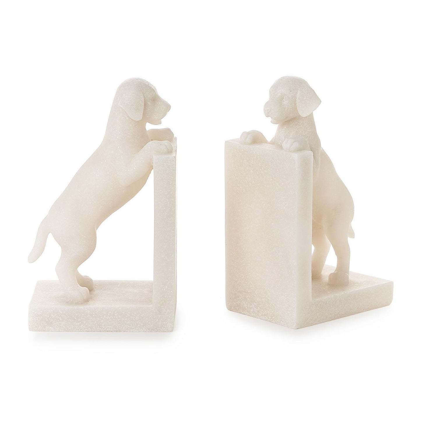 Playful Puppy Dog Book Ends