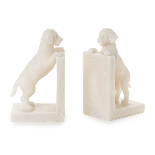 Playful Puppy Dog Book Ends