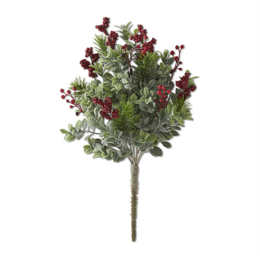 Boxwood Pine Bush w/ Red Berries