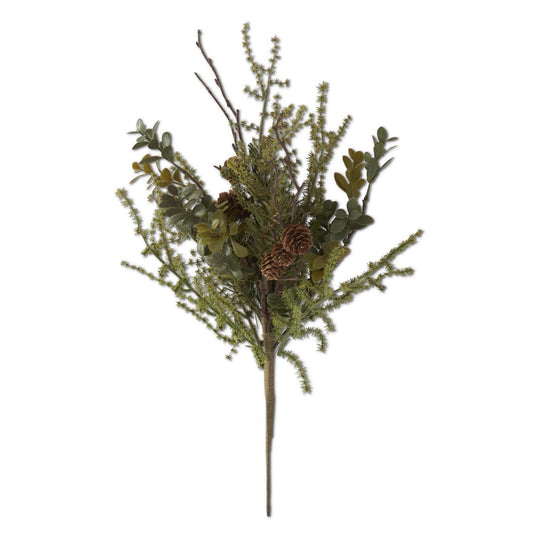 Mixed Pinecone Bush