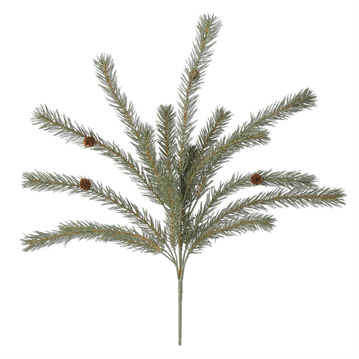 Green Pine Bush With Pinecones