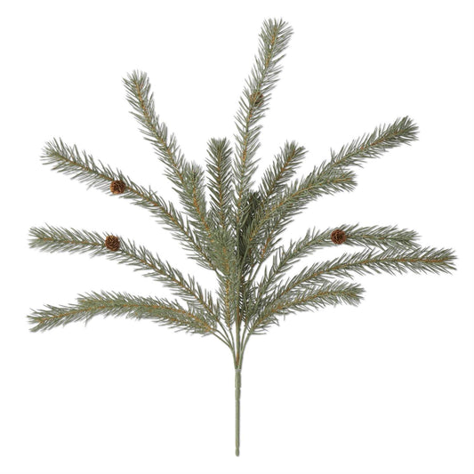 Green Pine Bush With Pinecones