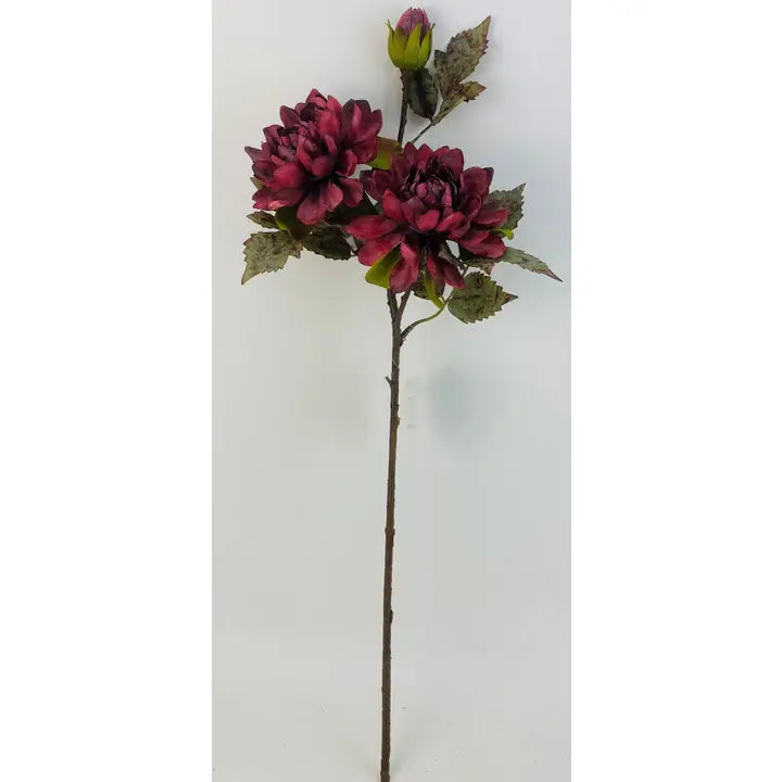 Burgundy Dahlia Spray