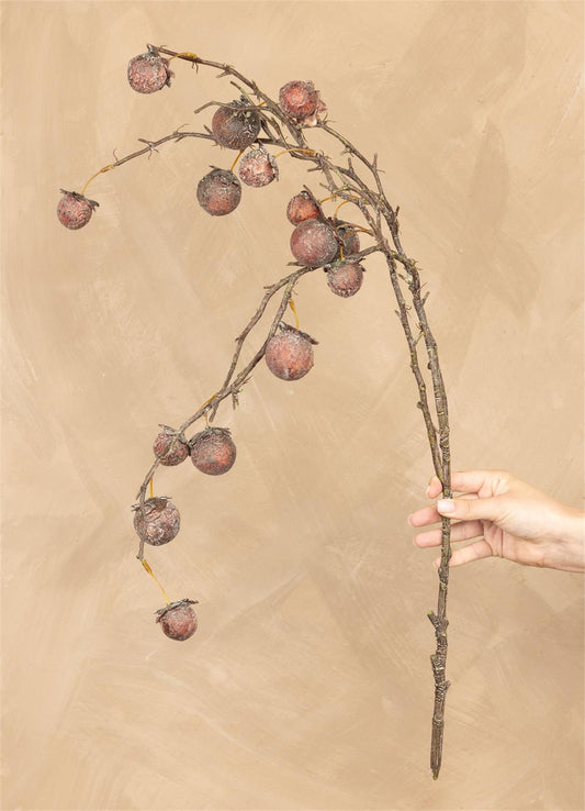 Chinaberry Burgundy Spray