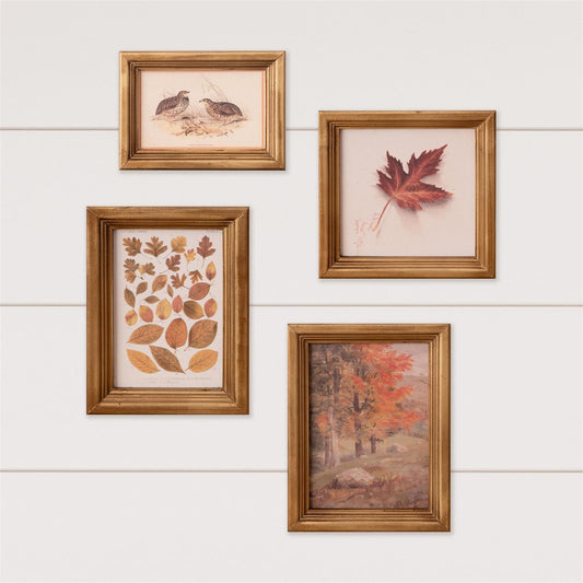 Whispers Of Autumn Framed Prints
