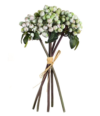 Berry Bundle