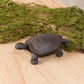 Turtle Key Hider