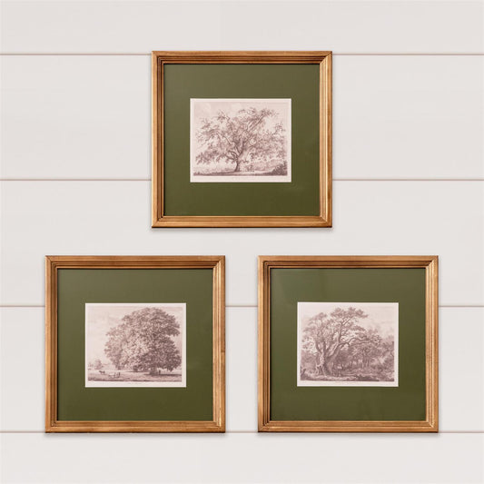 Framed Tree Sketch