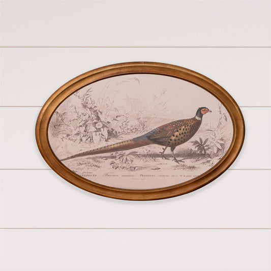 Framed Pheasant Print
